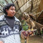 José Pacheco, del Zoológico Yurak Allpa, durante una demostración de cetrería.