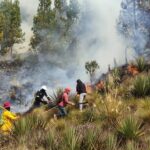 Guardaparques de ETAPA EP junto a cuadrillas de la EMAC EP y comuneros en las labores de combate del incendio forestal en el Parque Nacional Cajas.
