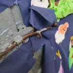 Delincuentes forzaron el seguro de una puerta de la escuela para robarse los bienes.