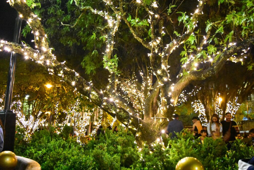 El encendido de las luces a lo largo de la avenida Solano en Cuenca se da en el marco de la Navidad.