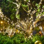 El encendido de las luces a lo largo de la avenida Solano en Cuenca se da en el marco de la Navidad.