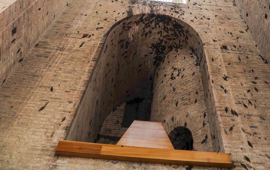 Invasión - "mashos"