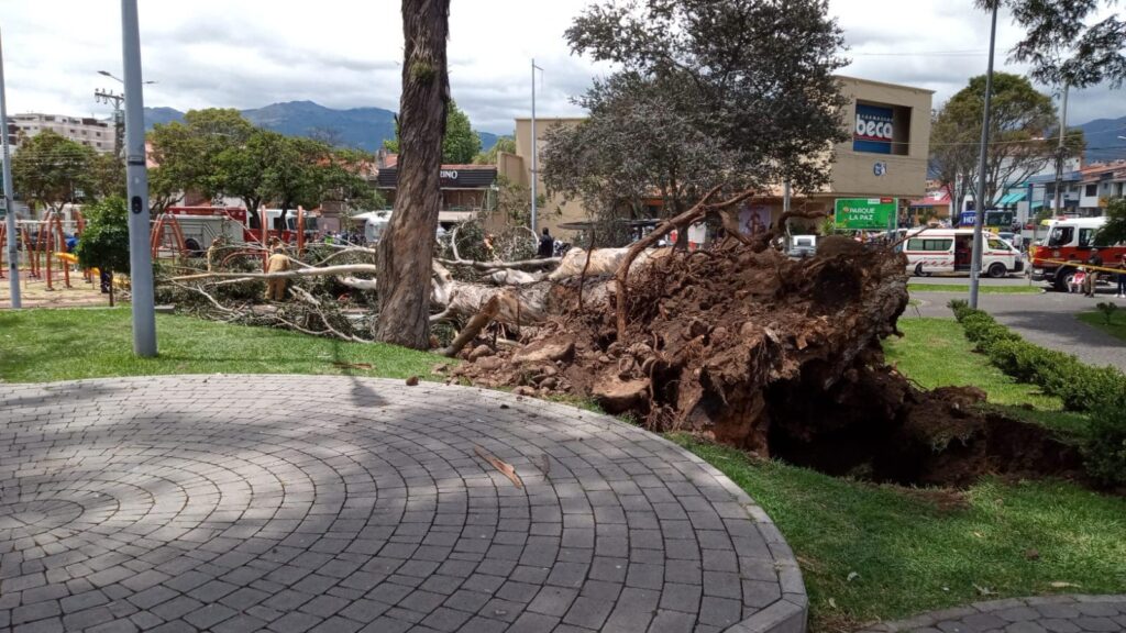 Dos niños fallecieron tras la caída de dos árboles en el parque La Paz en Cuenca.