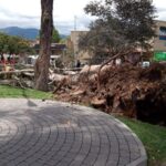 Dos niños fallecieron tras la caída de dos árboles en el parque La Paz en Cuenca.