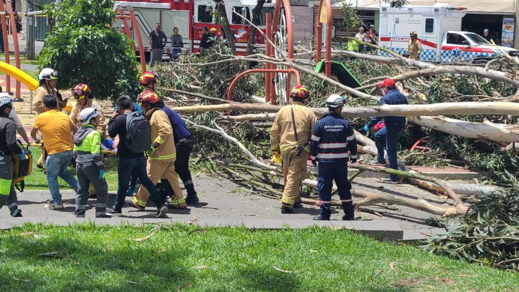 Personal del Cuerpo de Bomberos acudió a atender la emergencia por un árbol caído en el parque La Paz. Se presume que hay niños heridos.