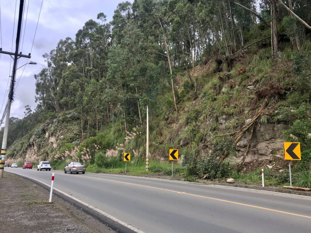 Inspección técnica determinó la tala de árboles en riesgo de caer en la Panamericana Norte, en Cuenca.
