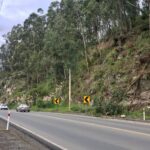 Inspección técnica determinó la tala de árboles en riesgo de caer en la Panamericana Norte, en Cuenca.