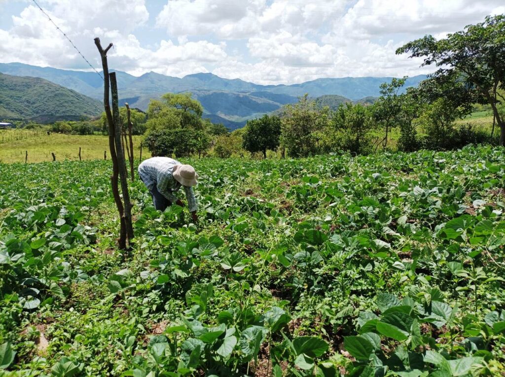 Agricultura una prioridad en los planes de los candidatos a la Presidencia del Ecuador.