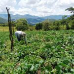 Agricultura una prioridad en los planes de los candidatos a la Presidencia del Ecuador.