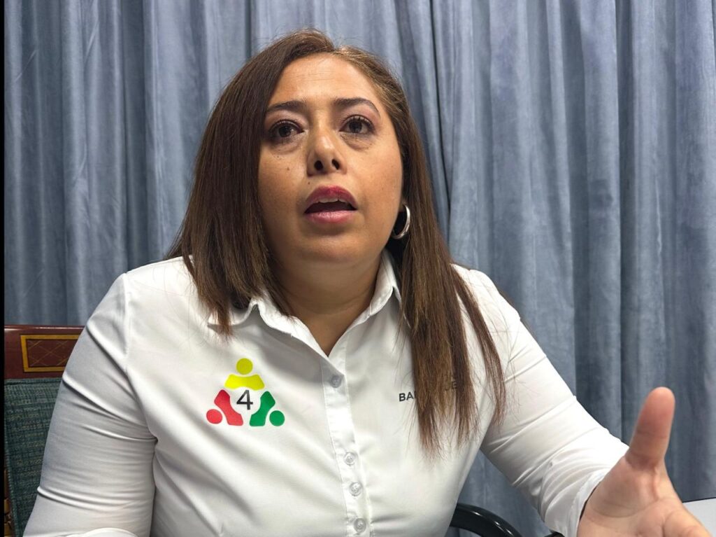 Sonia Barrezueta es quien lidera la lista de candidatos a Asambleístas de Azuay de la lista 4.
