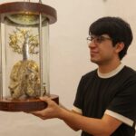 Mate López, presenta la obra "Los Mecanismos de la Deformidad Fatal", que será inaugurada el 9 de enero en el Museo de Arte Moderno