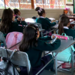 año lectivo 2024-2025