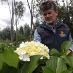 Bernardo Toral, gerente de Hortensias del Ecuador, en la plantación ubicada en el Cabogana.