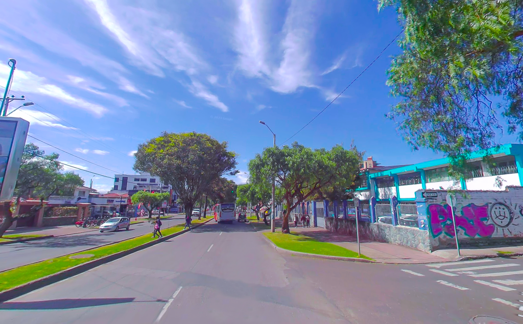 Este es uno de los tramos de la avenida Remigio Crespo en el que se procederá con la poda de árboles. /Cortesía