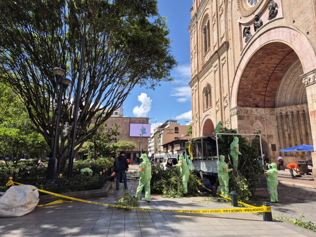 Personal de la EMAC EP cumplió con una inspección y poda del área verde del Parque Calderón, tras la caída de un árbol.