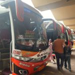 Buses Terminal Terrestre
