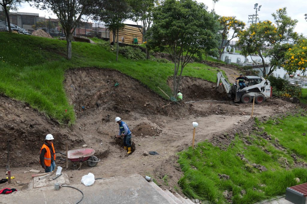 cementerio - mascotas