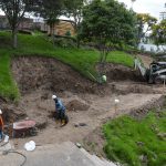 cementerio - mascotas