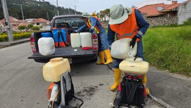 Fumigan - plaga