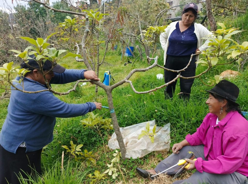 norma - agroproductores