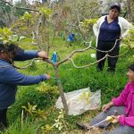 norma - agroproductores