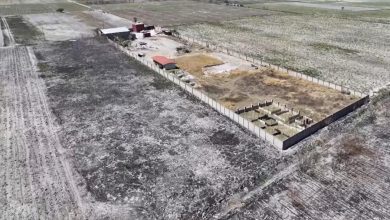 Hallazgo de rancho reabre discusión sobre migrantes desaparecidos