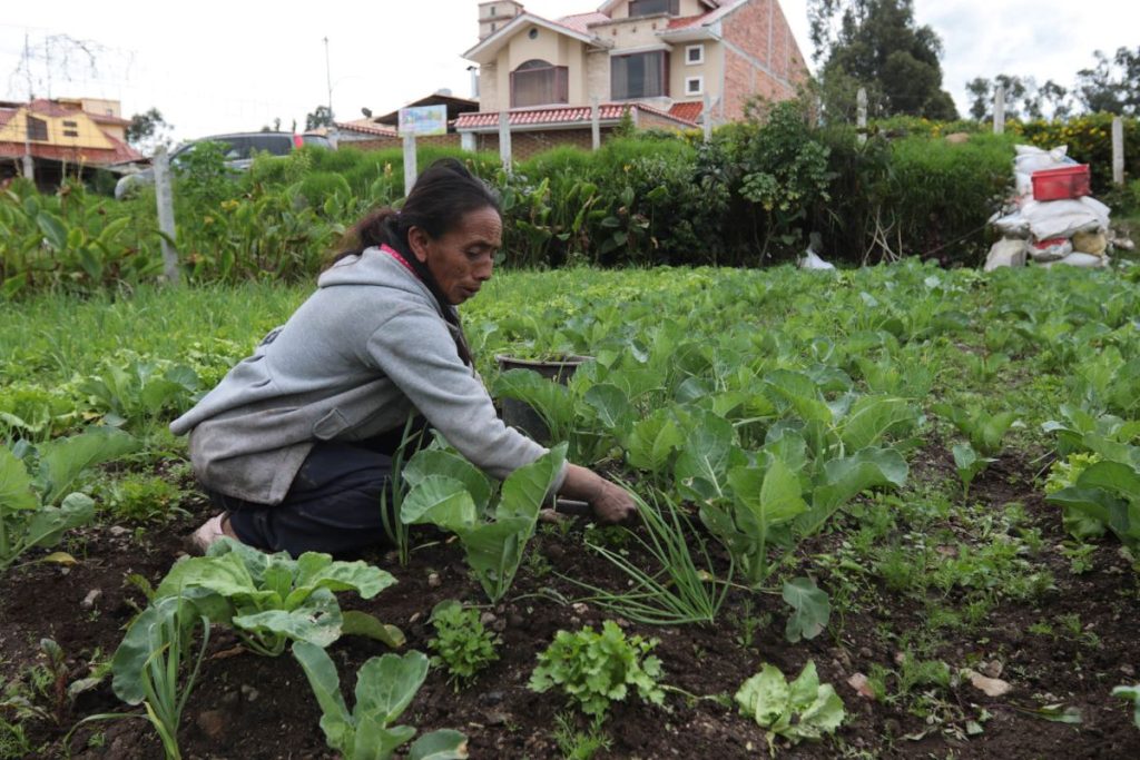 destinados a apoyar a las personas afectadas por la temporada invernal y sectores productivos en las provincias afectadas por las lluvias