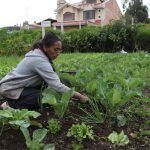 destinados a apoyar a las personas afectadas por la temporada invernal y sectores productivos en las provincias afectadas por las lluvias