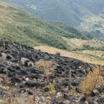 La minga de reforestación tendrá lugar en la comunidad de Río Blanco. En la imagen se observa como el incendio este sector, afectó a la vegetación.