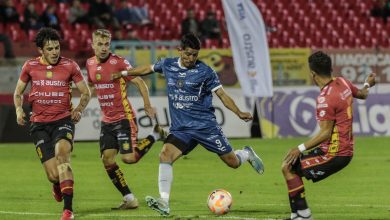 Noche de Gallos