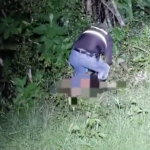 Captura del video compartido por el personal del Cuerpo de Bomberos de Paute durante la búsqueda del cadáver.