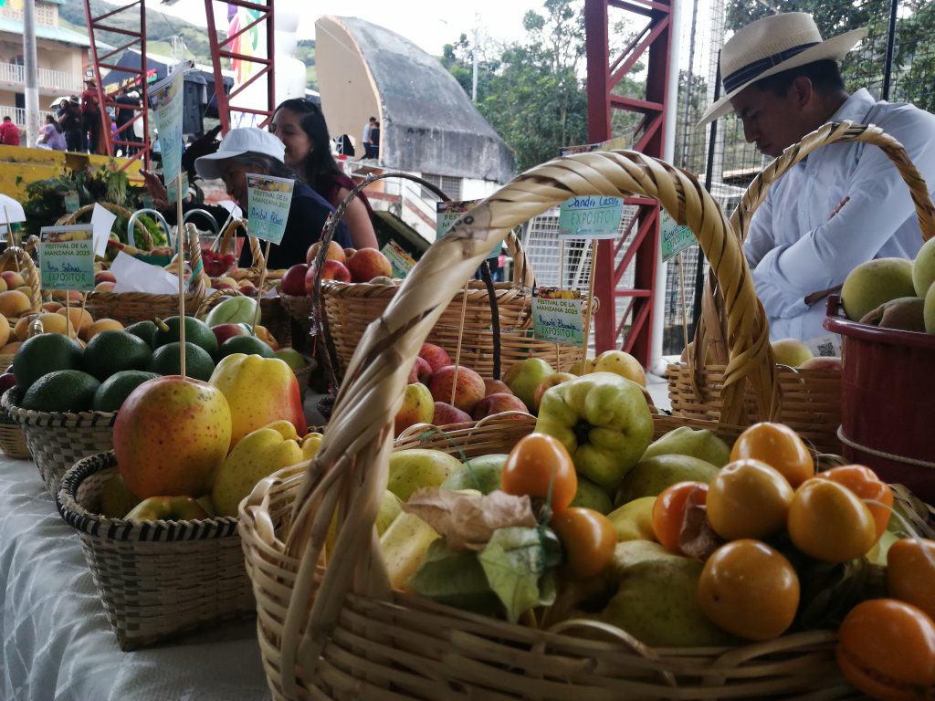 La manzana tiene su festival que se realiza cada año en el centro de la parroquia Principal, en el cantón Chordeleg. /FCS