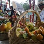 La manzana tiene su festival que se realiza cada año en el centro de la parroquia Principal, en el cantón Chordeleg. /FCS