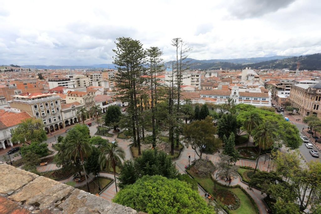 Las araucarias fueron sembradas el 3 de noviembre de 1875 por el entonces presidente Luis Cordero, en el Parque Abdón Calderón.