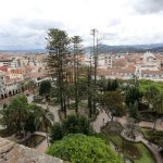 Las araucarias fueron sembradas el 3 de noviembre de 1875 por el entonces presidente Luis Cordero, en el Parque Abdón Calderón.