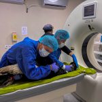 A Valentino se le han realizado exámenes de química sanguínea y hemogramas, plomo en sangre, exámenes radiológicos, tomografías y . Cortesía