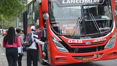 bus