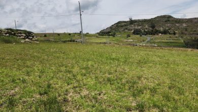 Cristian Zamora, alcalde de Cuenca, plantea derogar ordenanza de lotes mínimos y fuertes multas