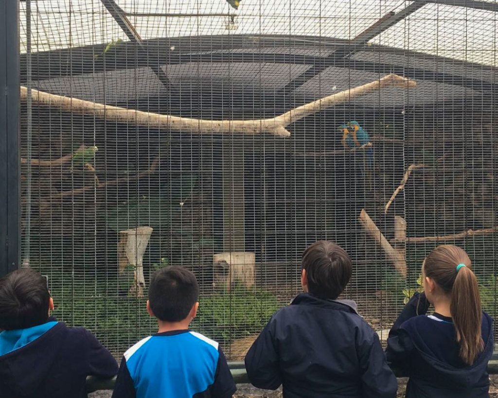 La jornada incluirá un recorrido por el Santuario de Aves Silvestres, ubicado en el Parque Arqueológico Pumapungo.