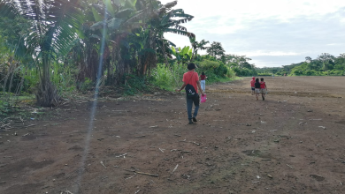 Tras las primeras pruebas aplicadas a los niños de las comunidades rurales de Taisha, se detectó leptospirosis como posible patología.