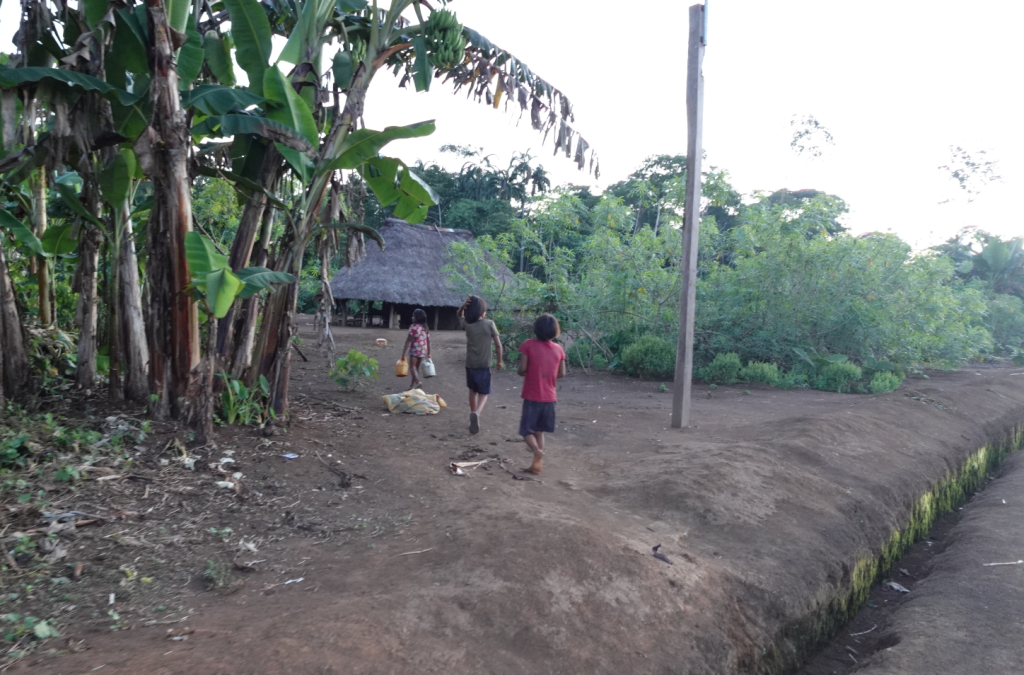 Un niño de dos años y medio falleció en la comunidad de Mashuim con síntomas como dolor abdominal, fiebre, vómito con sangre y diarrea.