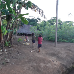 Un niño de dos años y medio falleció en la comunidad de Mashuim con síntomas como dolor abdominal, fiebre, vómito con sangre y diarrea.