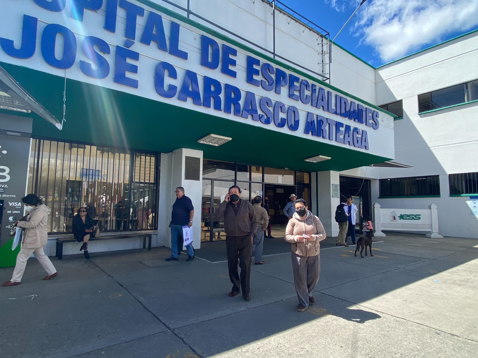 fiebre amarilla