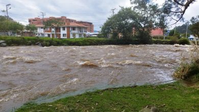 Río Yanuncay