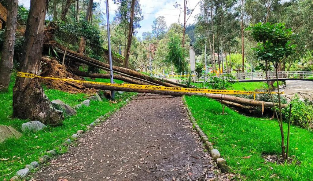 Personal de la EMAC aisló el área afectada para evitar que los ciudadanos circulen por el lugar en el que cayeron los árboles. /Cortesía