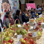 El VII Festival de la Manzana se celebrará en el centro parroquial de Bulán.