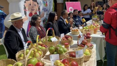 El VII Festival de la Manzana se celebrará en el centro parroquial de Bulán.