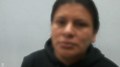 migrante