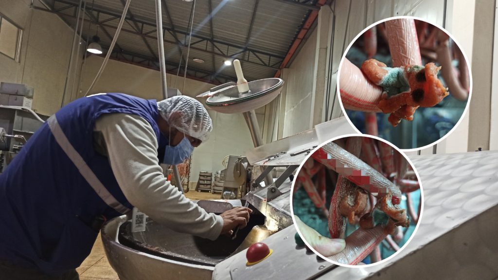 El personal de Arcsa clausuró la procesadora de embustidos en Cuenca debido a sus altos niveles de insalubridad. /Cortesía