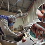 El personal de Arcsa clausuró la procesadora de embustidos en Cuenca debido a sus altos niveles de insalubridad. /Cortesía